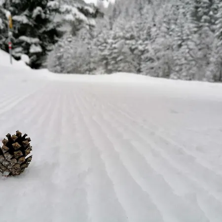 Bergperle & Mountain Sport *