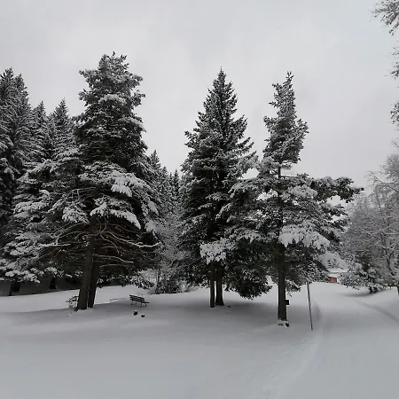 Bergperle Apartments&mountain Sport Apartment *