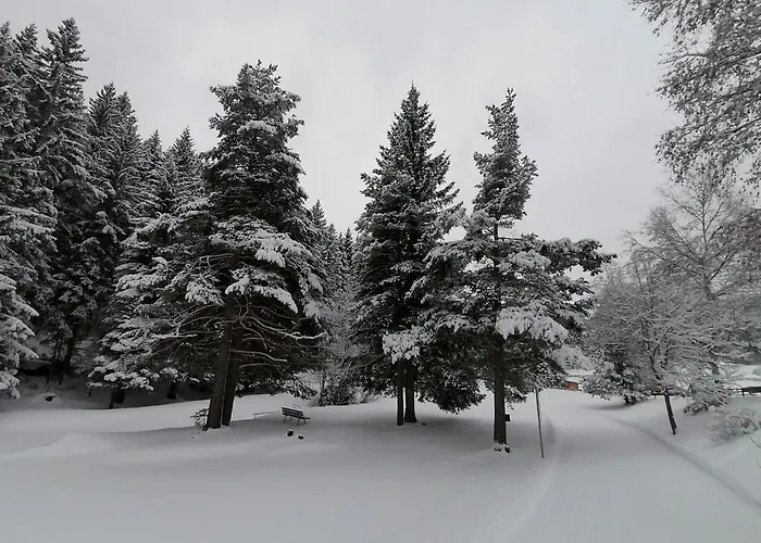 Bergperle Apartments&mountain Sport Apartment *